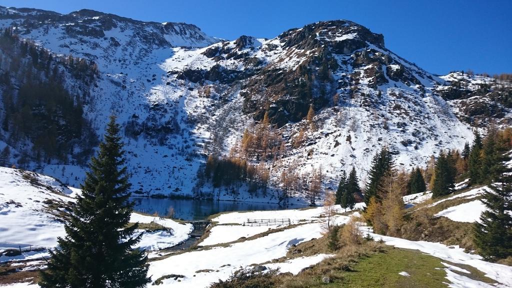 Urlaub Am Raderhof In Der Ferienregion Lungau Apartment Mauterndorf  Bagian luar foto