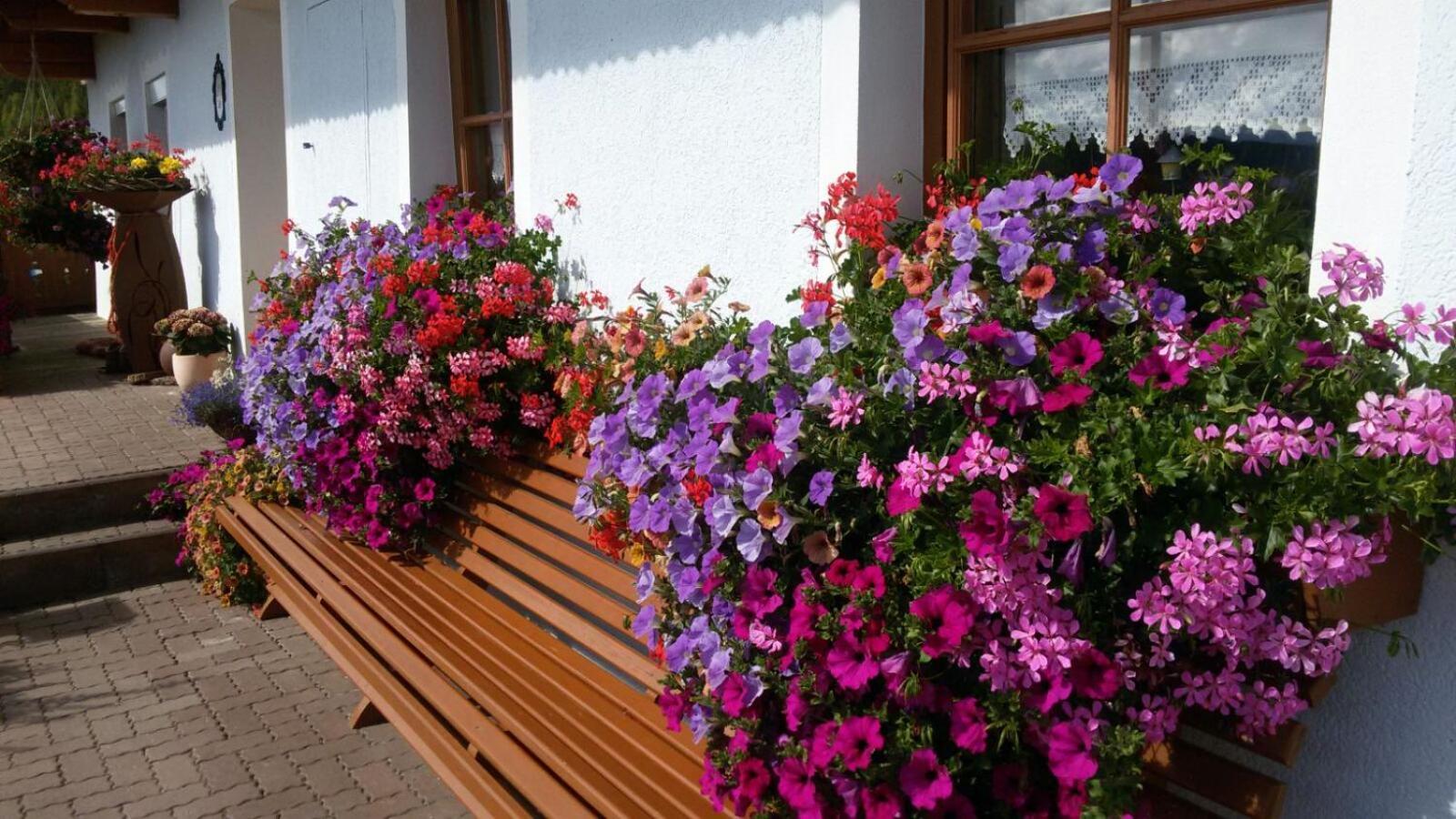 Urlaub Am Raderhof In Der Ferienregion Lungau Apartment Mauterndorf  Bagian luar foto